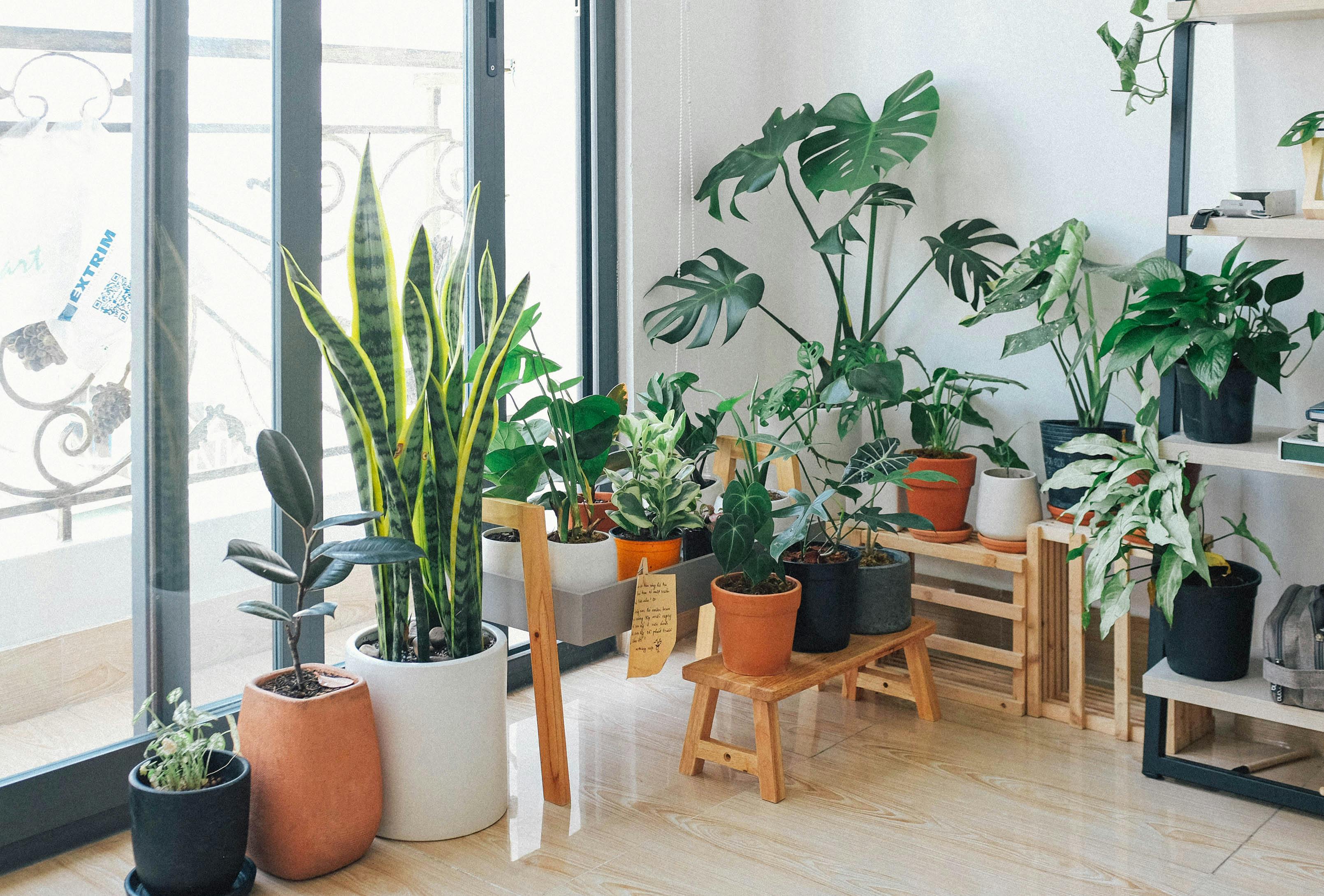 Styled home interior